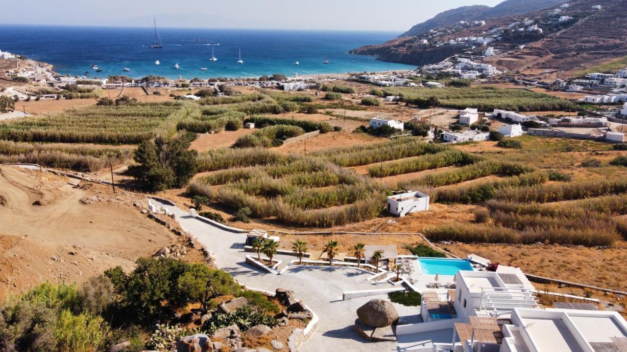 Mykonos4Islands Seaside Homes And Suites Kalo Livadi Exteriér fotografie